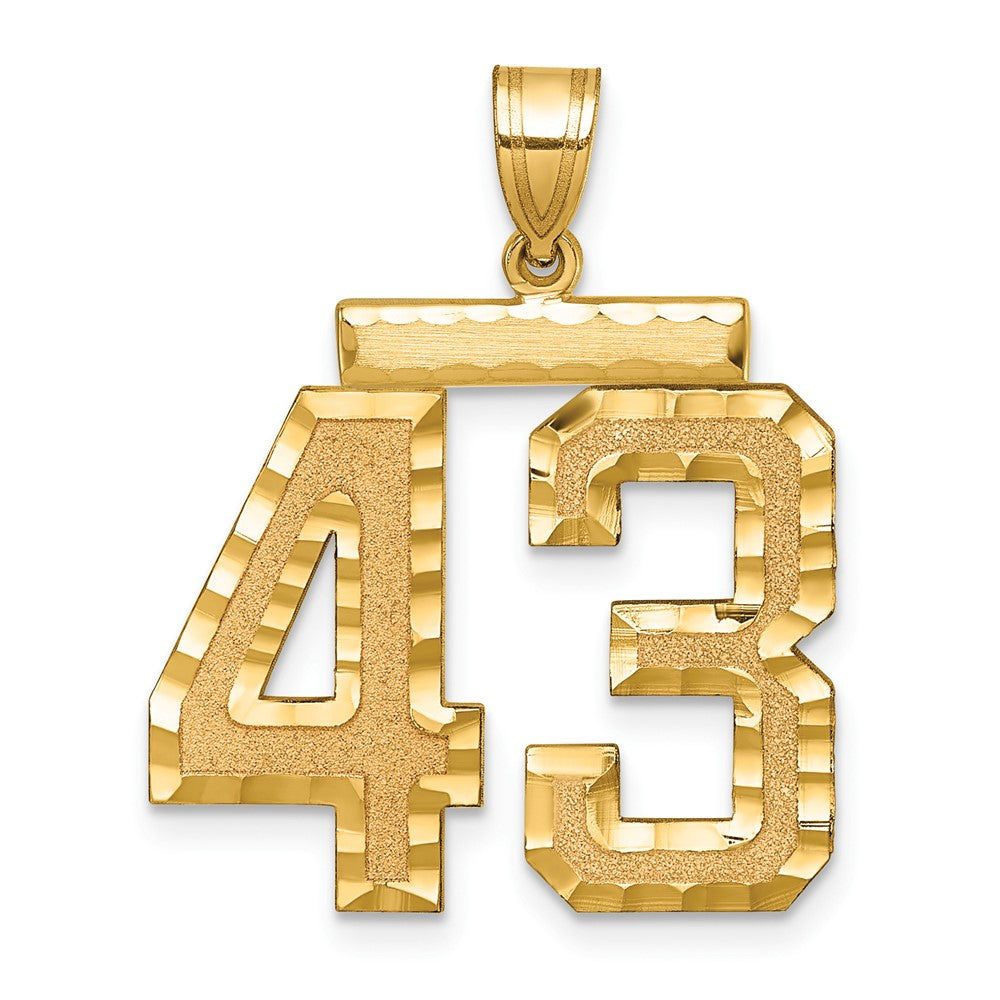 14k Yellow Gold Large Brushed Diamond-cut Number 43 Charm