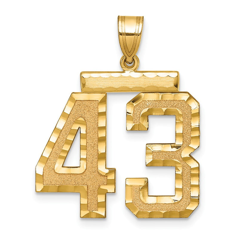 14k Yellow Gold Large Brushed Diamond-cut Number 43 Charm