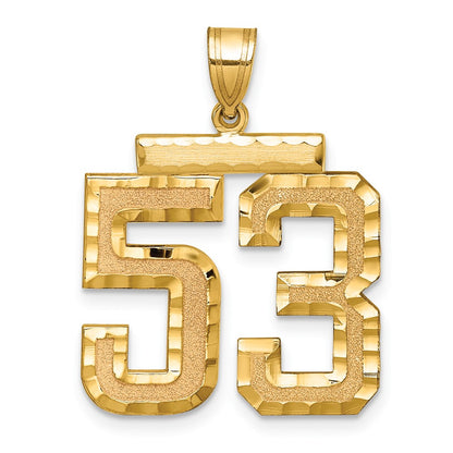14k Yellow Gold Large Brushed Diamond-cut Number 53 Charm