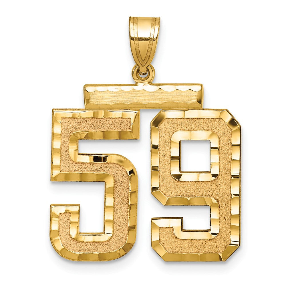 14k Yellow Gold Large Brushed Diamond-cut Number 59 Charm