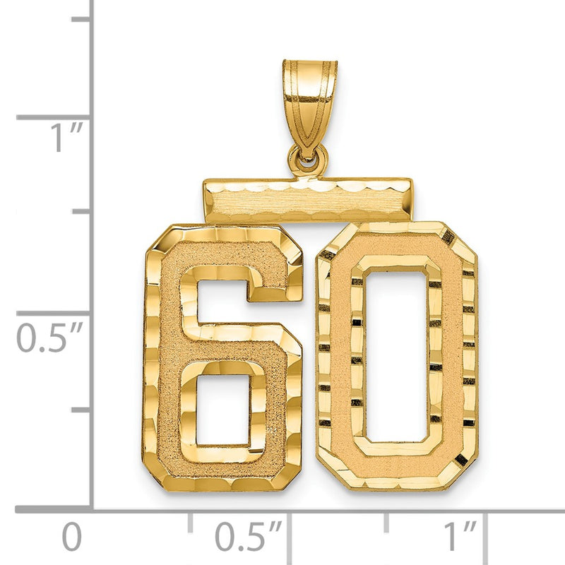 14k Yellow Gold Large Brushed Diamond-cut Number 60 Charm
