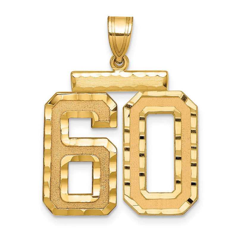 14k Yellow Gold Large Brushed Diamond-cut Number 60 Charm