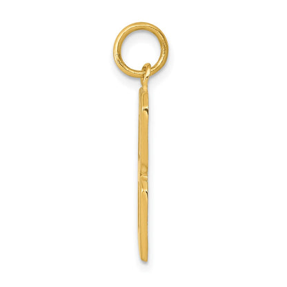 14k Yellow Gold  Large Polished Number 8 Charm