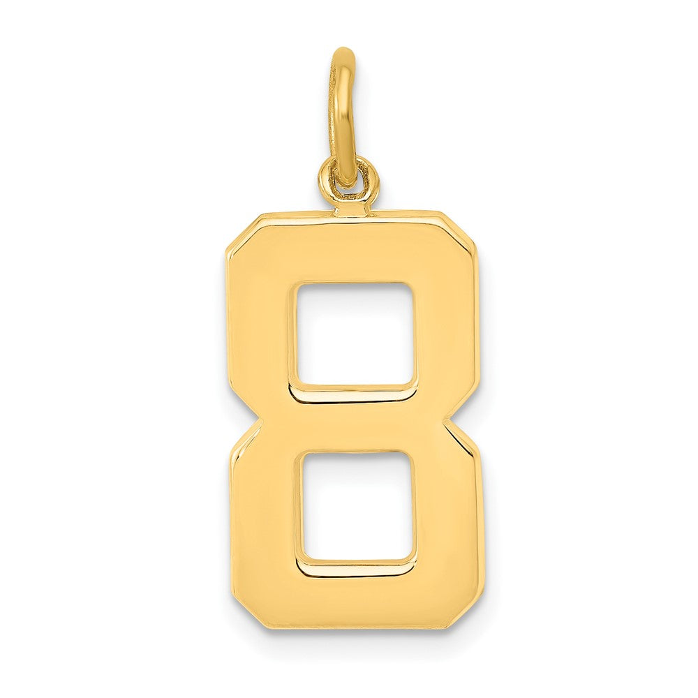 14k Yellow Gold  Large Polished Number 8 Charm