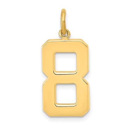14k Yellow Gold  Large Polished Number 8 Charm