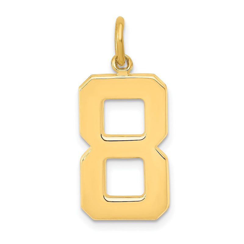14k Yellow Gold  Large Polished Number 8 Charm