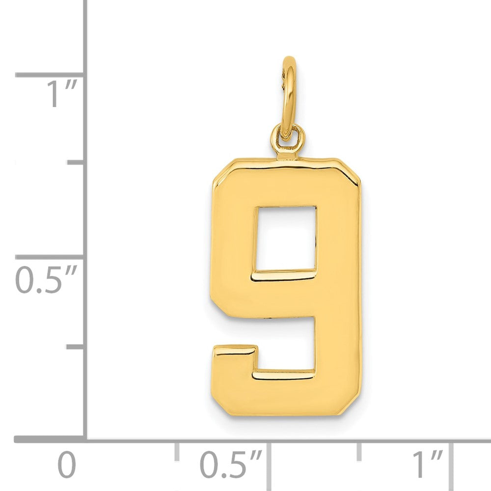 14k Yellow Gold  Large Polished Number 9 Charm