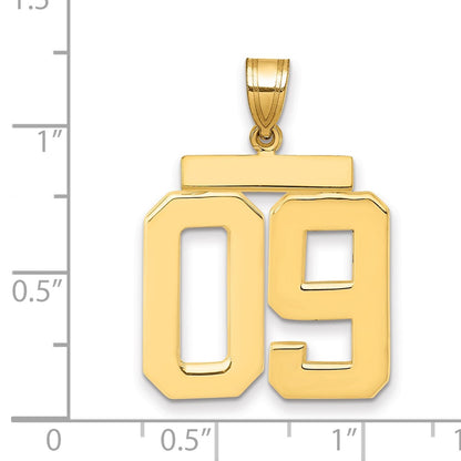 14k Yellow Gold Large Polished Number 09 on Top Charm