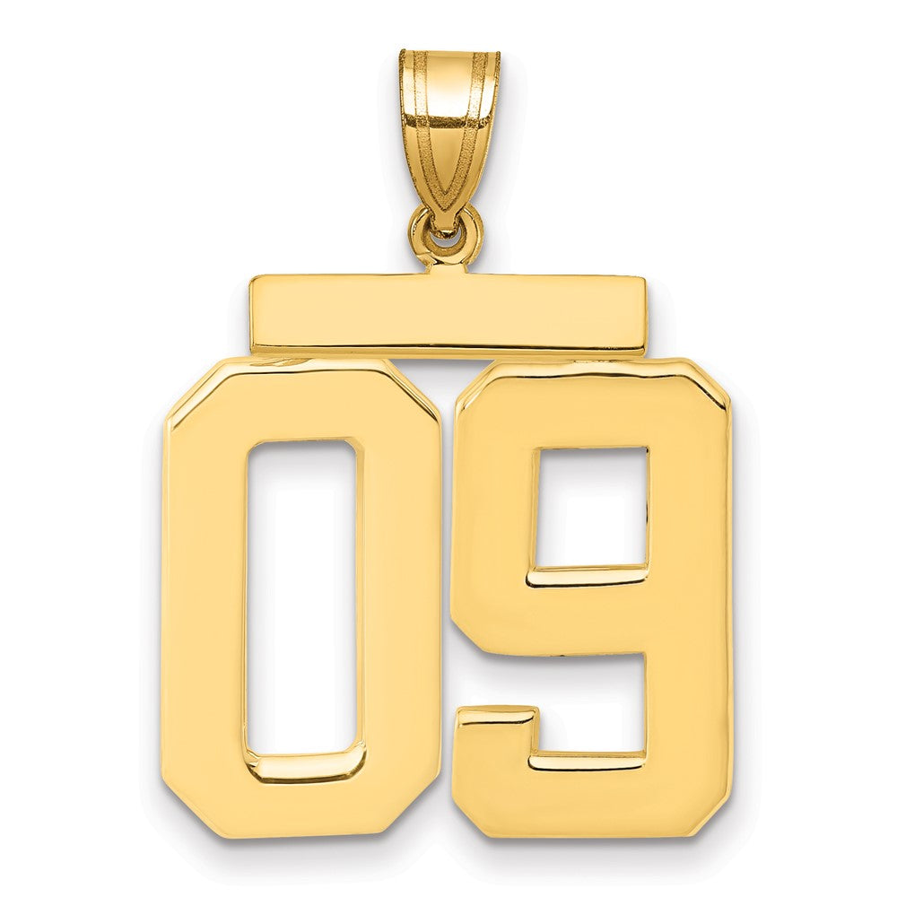14k Yellow Gold Large Polished Number 09 on Top Charm