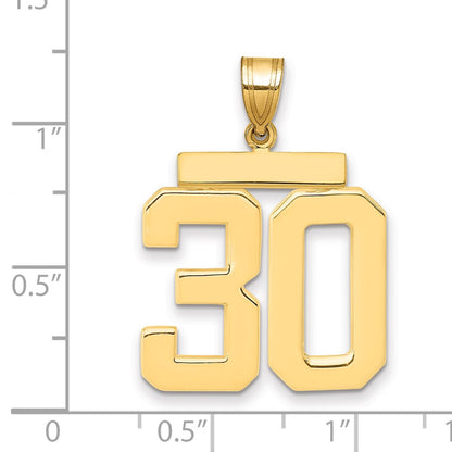 10K Yellow Gold Large Polished Number 30 Charm