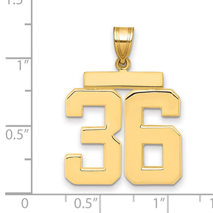 10K Yellow Gold Large Polished Number 36 Charm