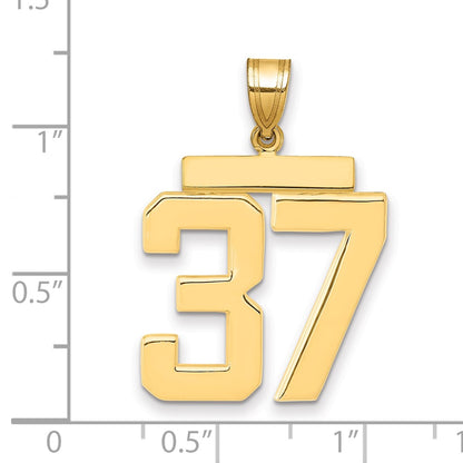 10K Yellow Gold Large Polished Number 37 Charm