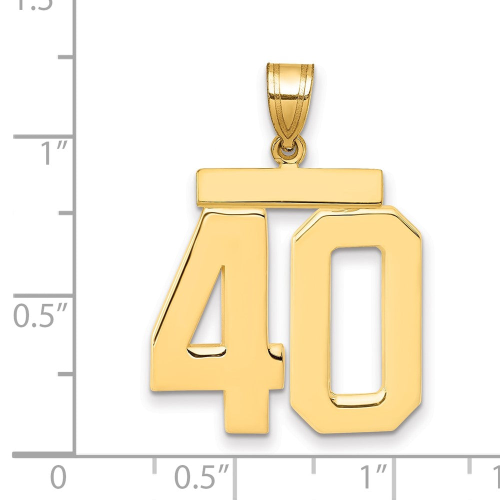 14k Yellow Gold Large Polished Number 40 Charm
