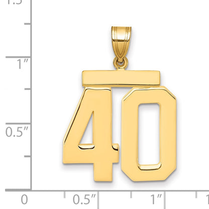 10K Yellow Gold Large Polished Number 40 Charm
