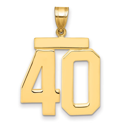 14k Yellow Gold Large Polished Number 40 Charm