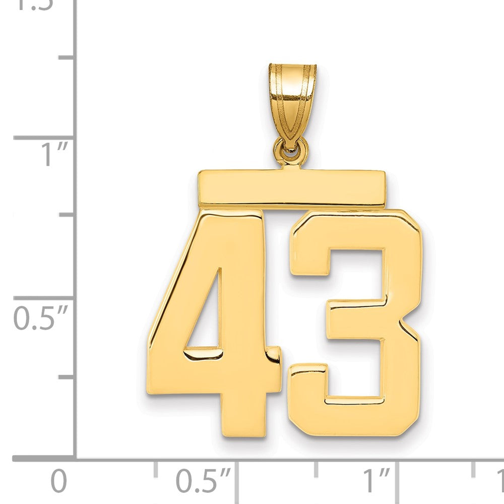 10K Yellow Gold Large Polished Number 43 Charm