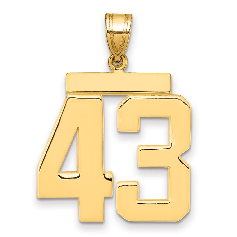 10K Yellow Gold Large Polished Number 43 Charm