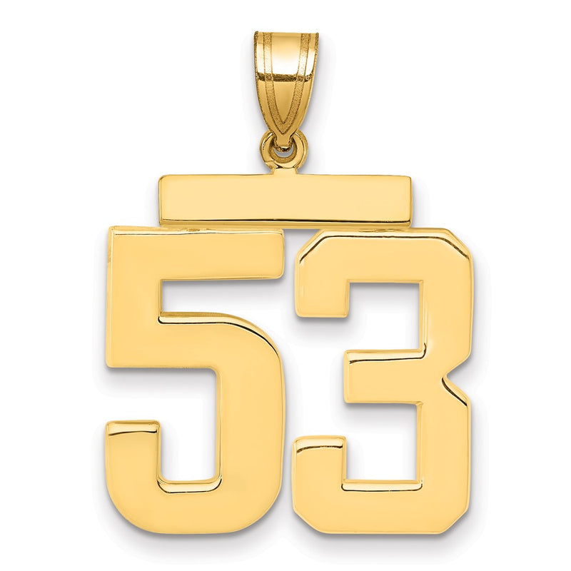 14k Yellow Gold Large Polished Number 53 Charm