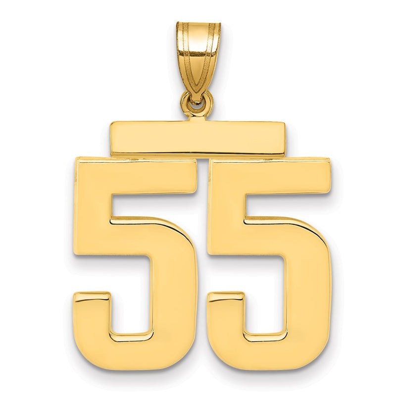 14k Yellow Gold Large Polished Number 55 Charm