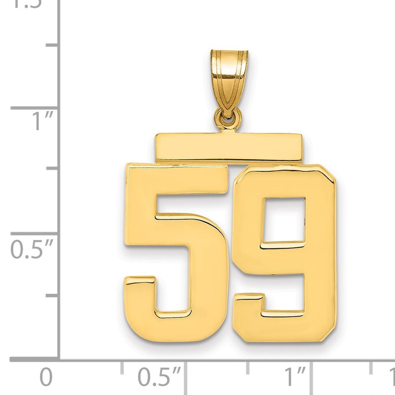 14k Yellow Gold Large Polished Number 59 Charm