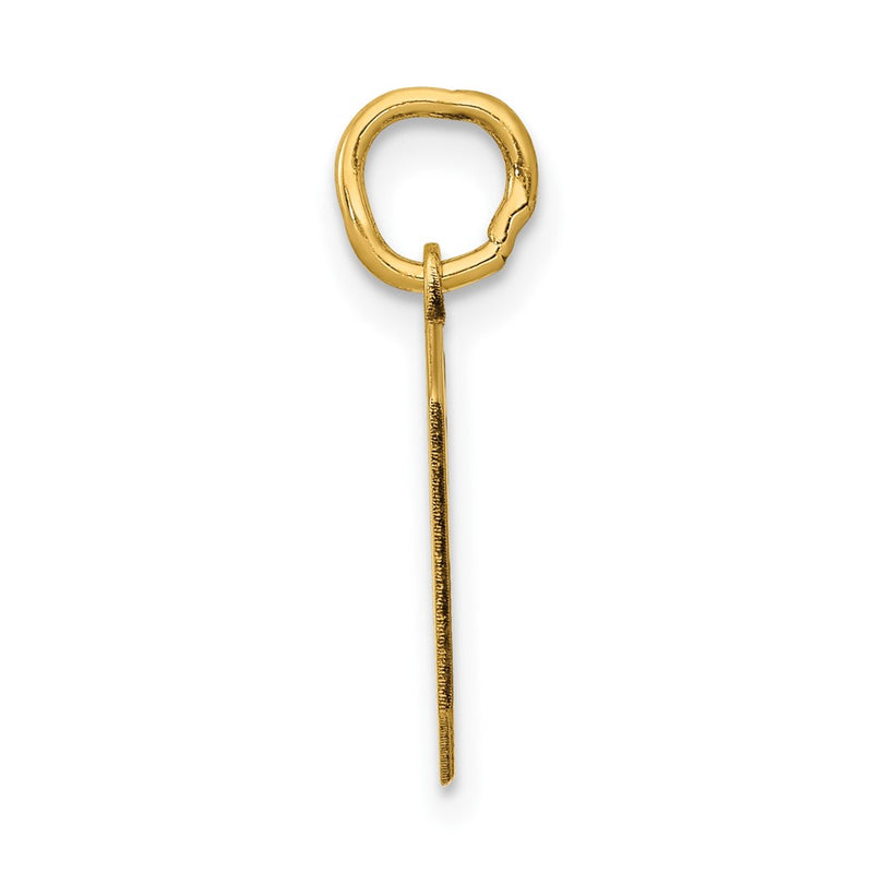 14k Yellow Gold 14k Small Polished Number 0 Charm