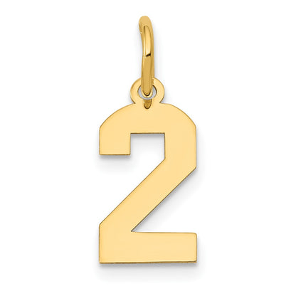 14k Yellow Gold 14k Small Polished Number 2 Charm