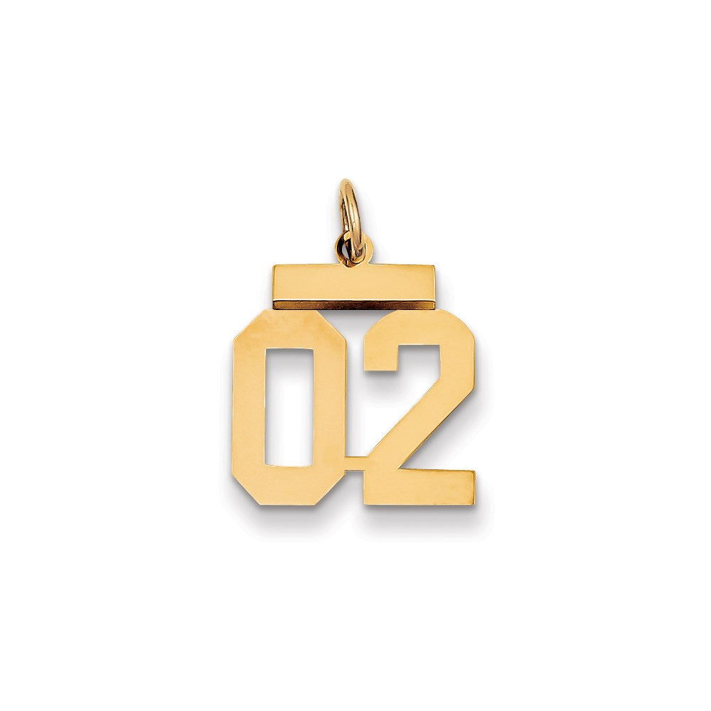 14K Yellow Gold Small Polished Number 2 W/top