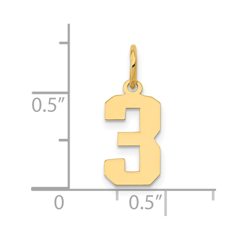 14k Yellow Gold 14k Small Polished Number 3 Charm
