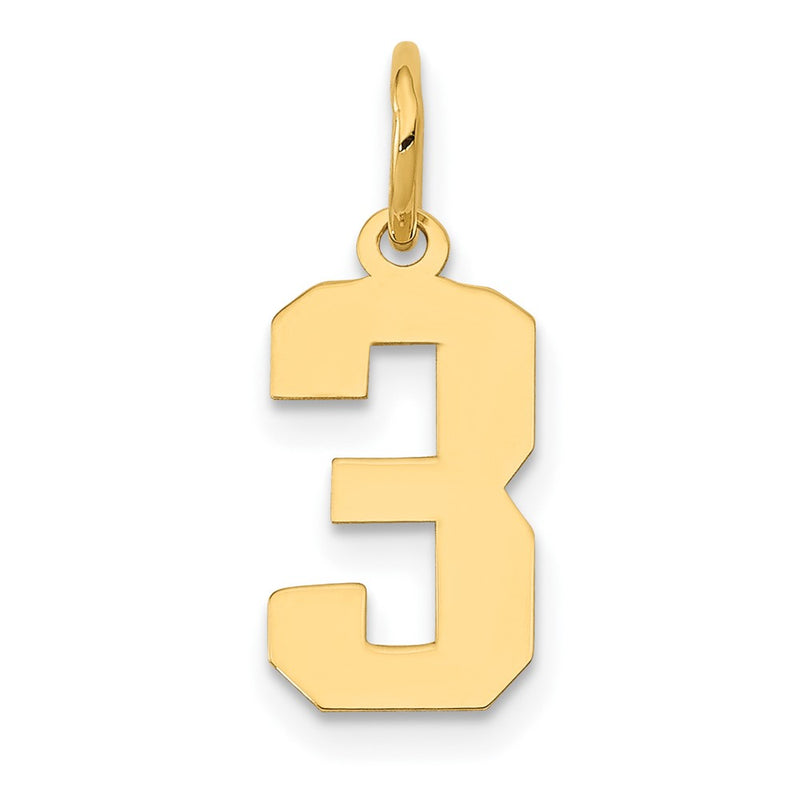 14k Yellow Gold 14k Small Polished Number 3 Charm