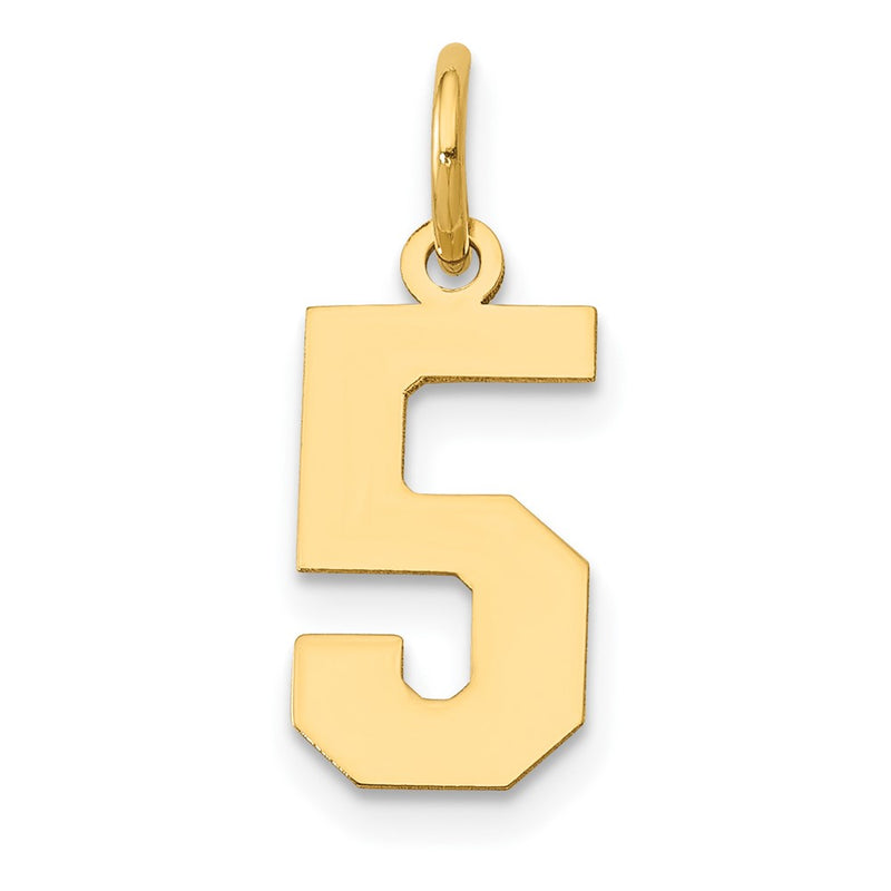 14k Yellow Gold 14k Small Polished Number 5 Charm