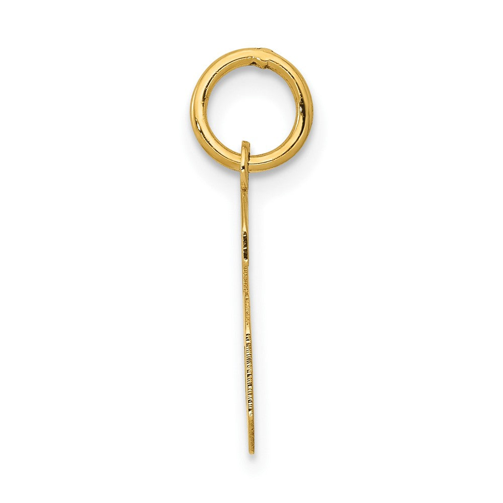 14k Yellow Gold 14k Small Polished Number 6 Charm