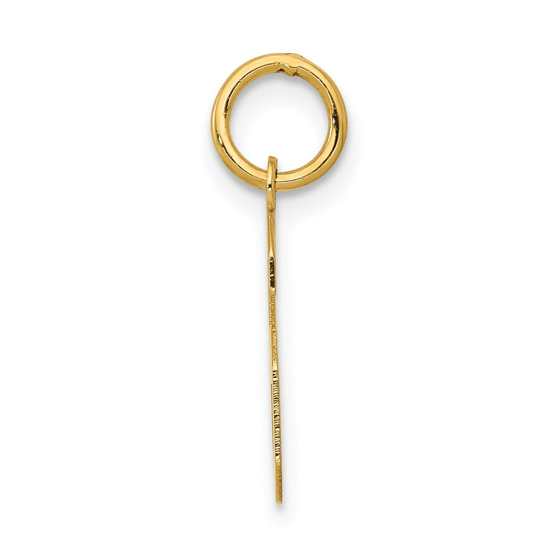 14k Yellow Gold 14k Small Polished Number 6 Charm