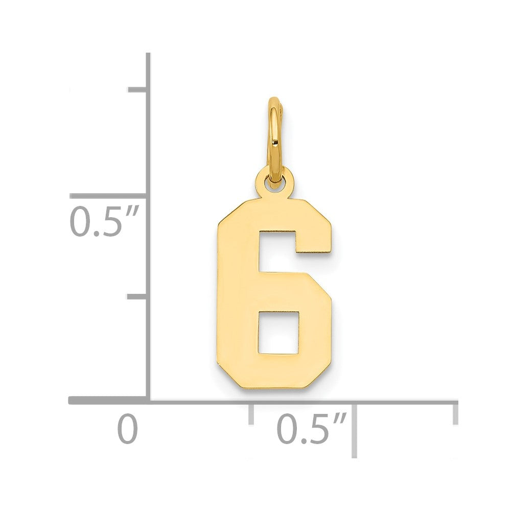 14k Yellow Gold 14k Small Polished Number 6 Charm