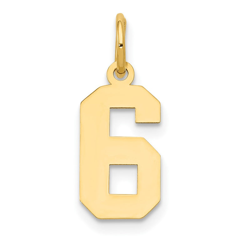 14k Yellow Gold 14k Small Polished Number 6 Charm