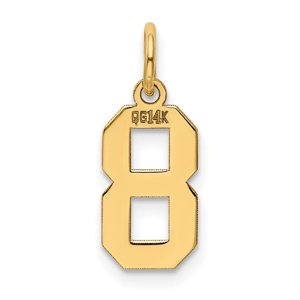14k Yellow Gold 14k Small Polished Number 8 Charm