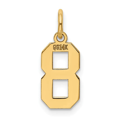 14k Yellow Gold 14k Small Polished Number 8 Charm