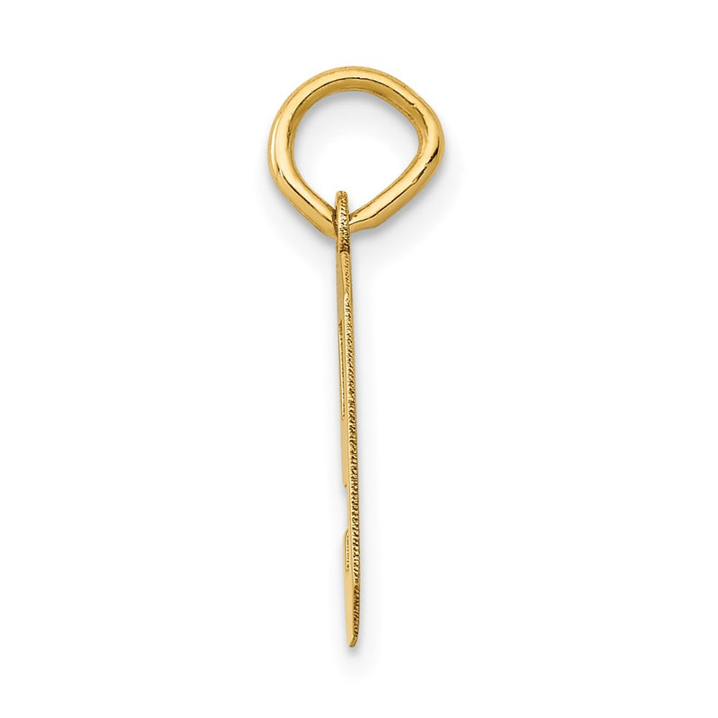 14k Yellow Gold 14k Small Polished Number 9 Charm