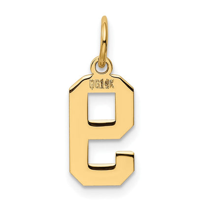 14k Yellow Gold 14k Small Polished Number 9 Charm