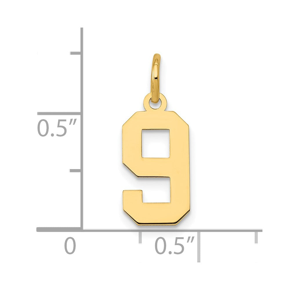 14k Yellow Gold 14k Small Polished Number 9 Charm
