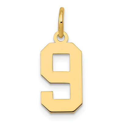 14k Yellow Gold 14k Small Polished Number 9 Charm