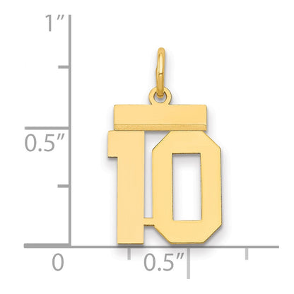 14k Yellow Gold Small Polished Number 10 Charm