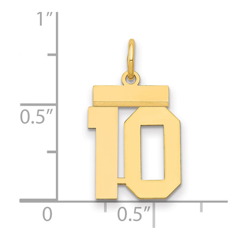 14k Yellow Gold Small Polished Number 10 Charm