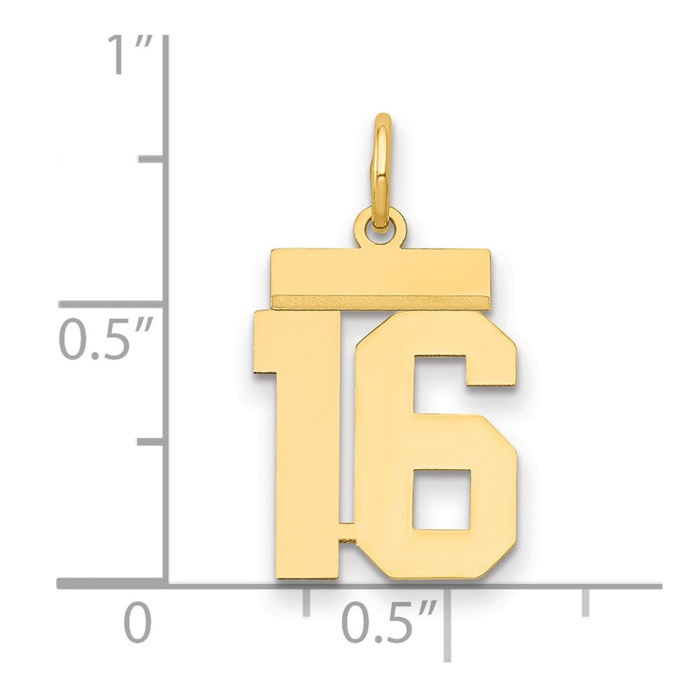 14k Yellow Gold Small Polished Number 16 Charm