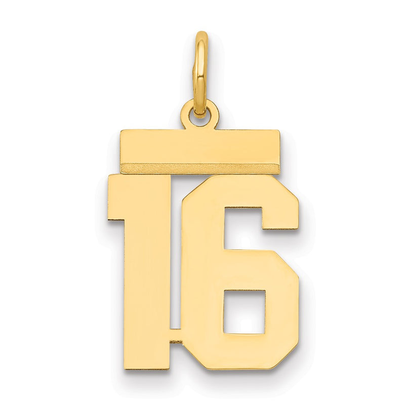 14k Yellow Gold Small Polished Number 16 Charm