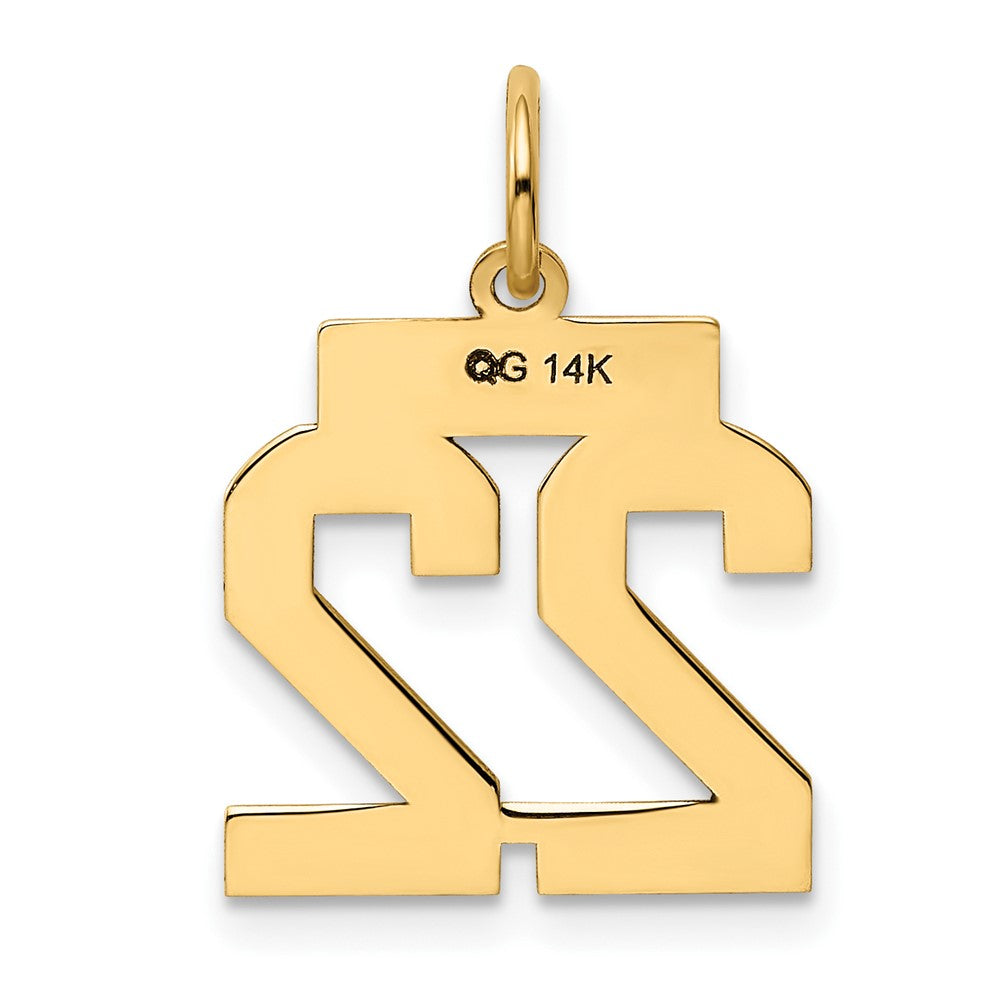 10K Yellow Gold Small Polished Number 22 Charm