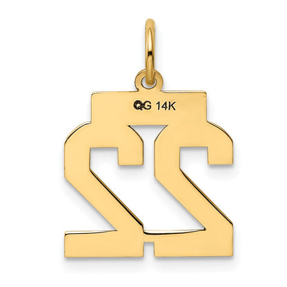 10K Yellow Gold Small Polished Number 22 Charm