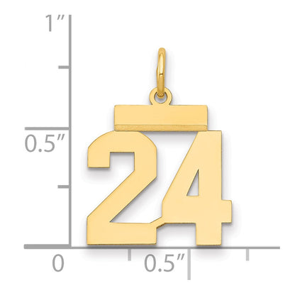 14k Yellow Gold Small Polished Number 24 Charm