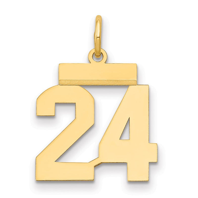 14k Yellow Gold Small Polished Number 24 Charm