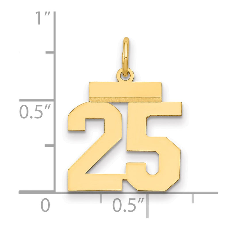 14k Yellow Gold Small Polished Number 25 Charm