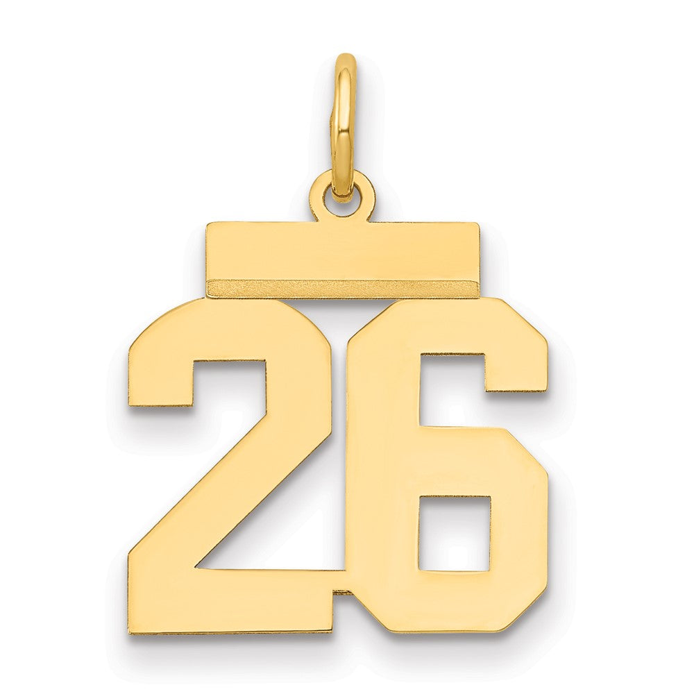 14k Yellow Gold Small Polished Number 26 Charm